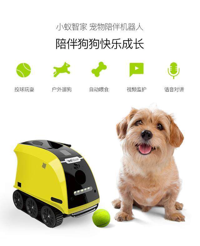 多爱狗？小蚁智家专门为它开发一款保姆机器人